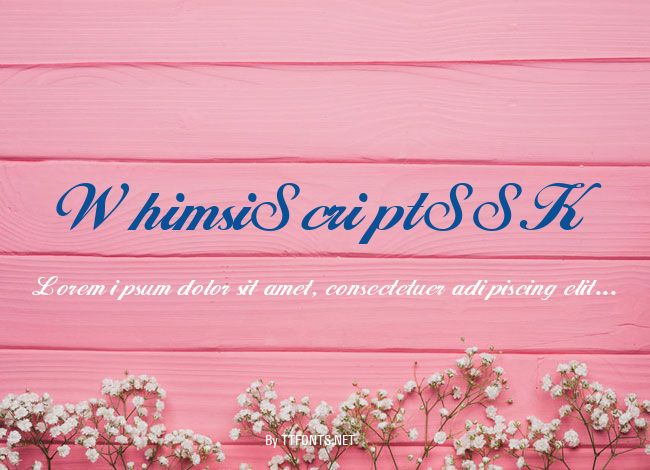 WhimsiScriptSSK example