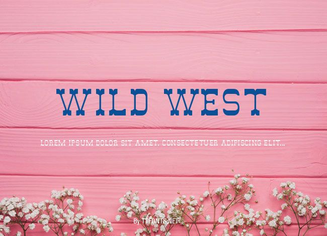 Wild West example