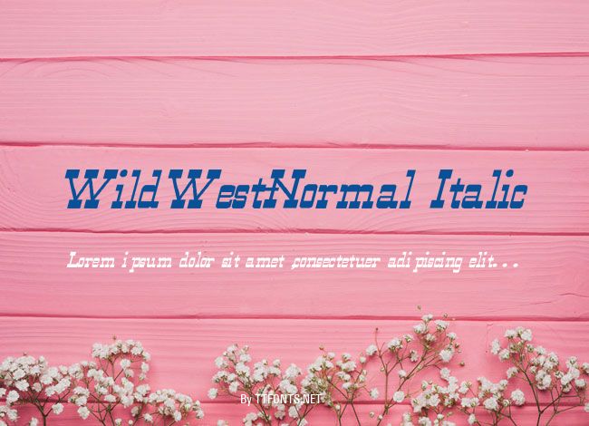 WildWest-Normal Italic example