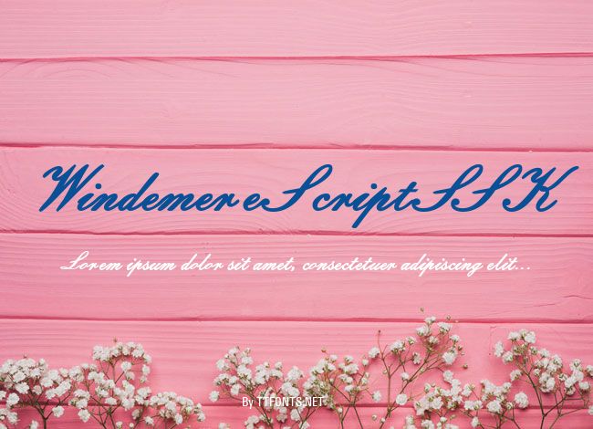 WindemereScriptSSK example