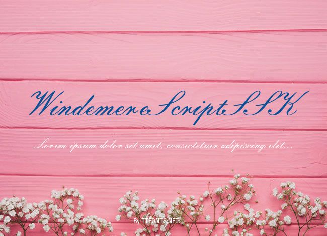WindemereScriptSSK example