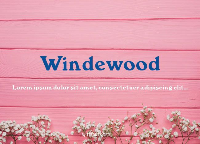 Windewood example
