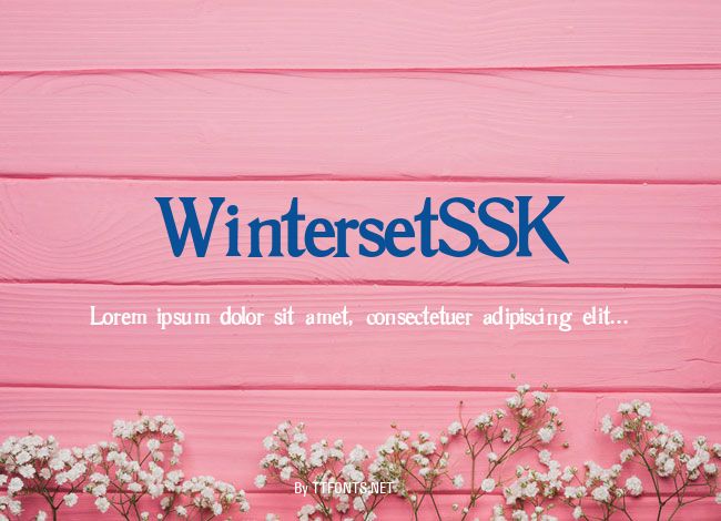 WintersetSSK example