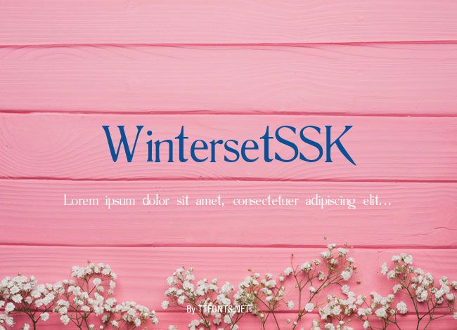 WintersetSSK example