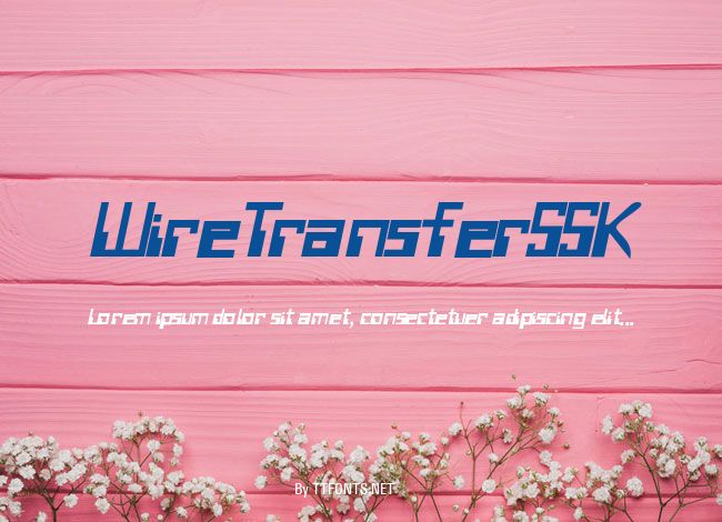 WireTransferSSK example