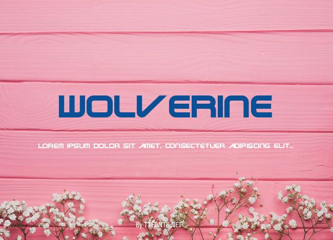 Wolverine example
