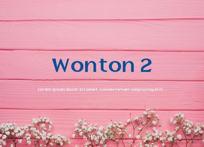 Wonton 2 example