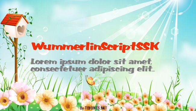 WummerlinScriptSSK example