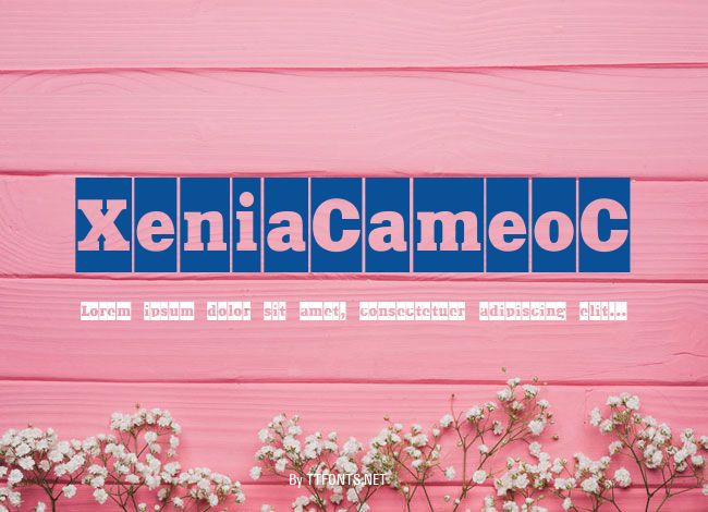 XeniaCameoC example
