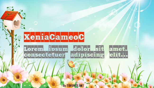 XeniaCameoC example