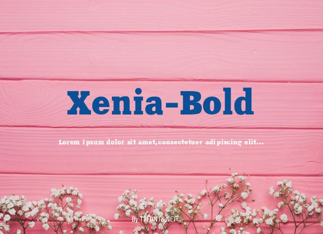 Xenia-Bold example