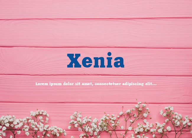 Xenia example