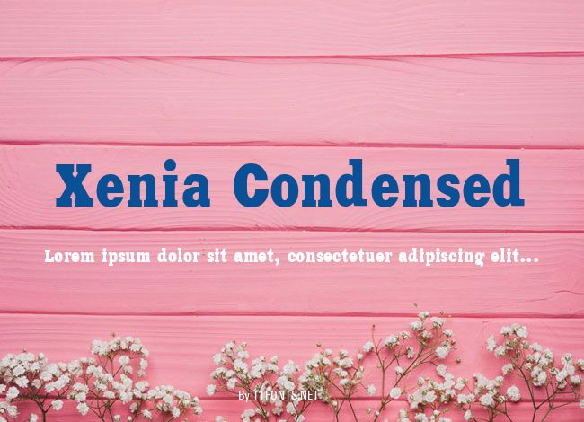 Xenia Condensed example