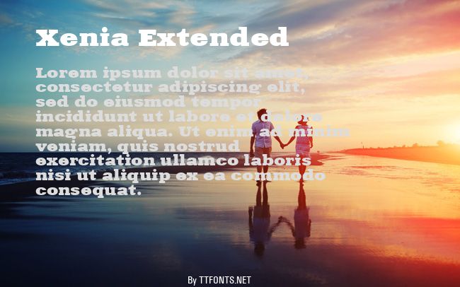 Xenia Extended example