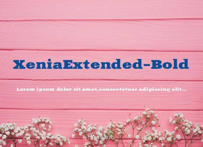XeniaExtended-Bold example