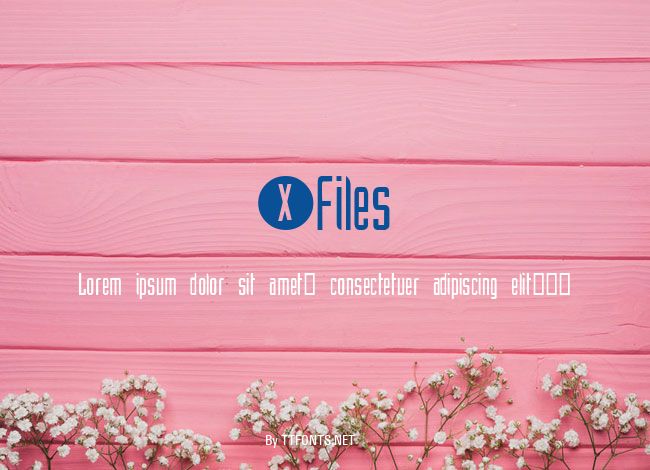 XFiles example