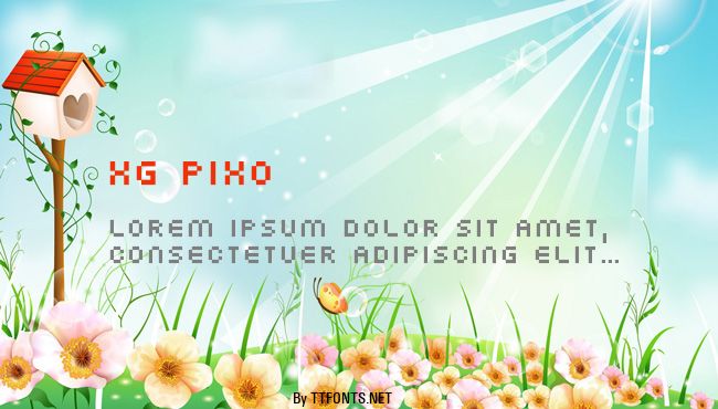 XG Pixo example