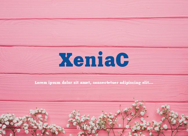 XeniaC example