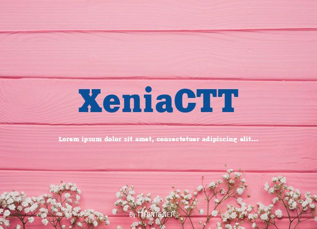 XeniaCTT example