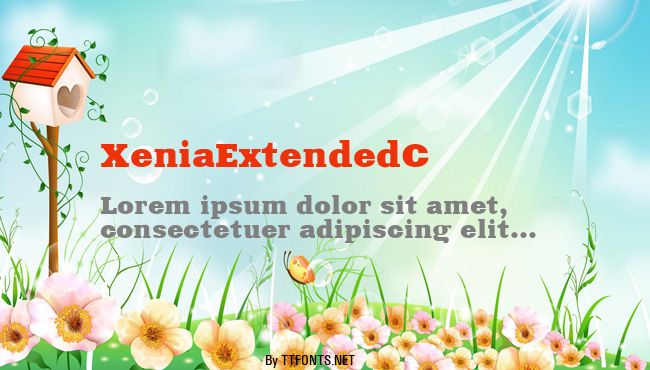 XeniaExtendedC example