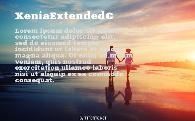 XeniaExtendedC example
