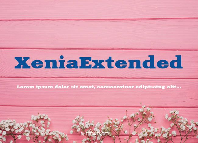 XeniaExtended example