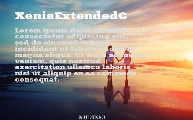 XeniaExtendedC example