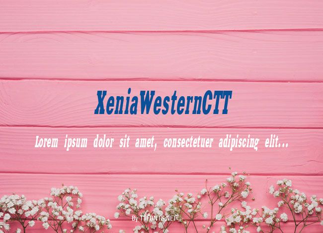 XeniaWesternCTT example