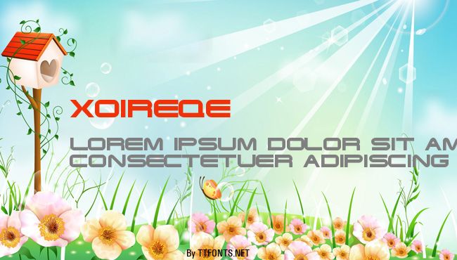 Xoireqe example