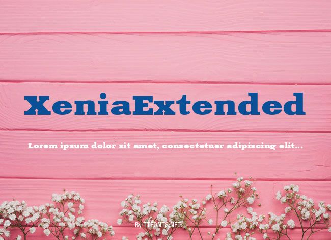 XeniaExtended example