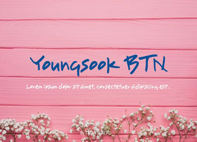 Youngsook BTN example