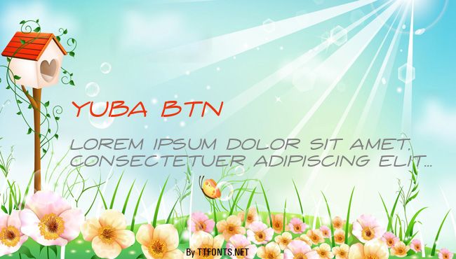 Yuba BTN example