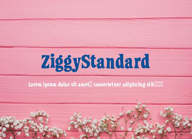 ZiggyStandard example