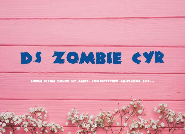 DS Zombie Cyr example