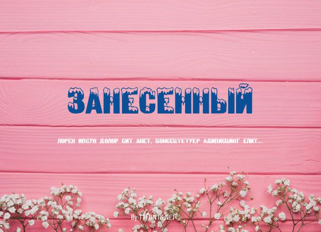 Zanesennyj example