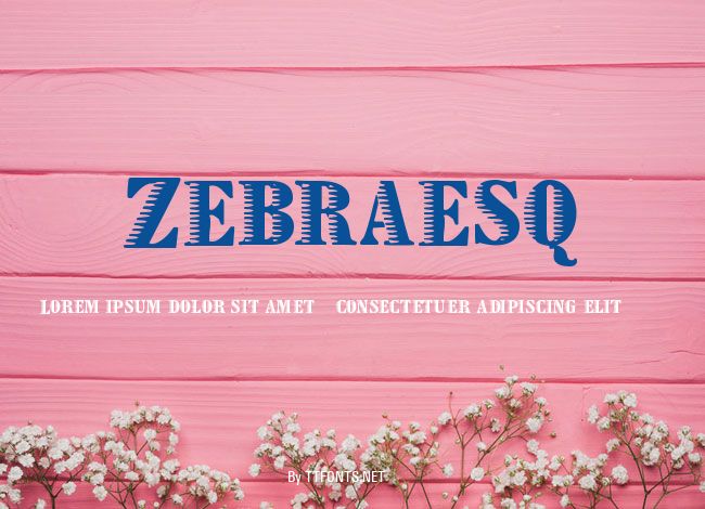 Zebraesq example