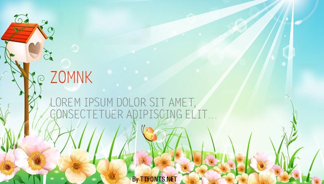 Zomnk example
