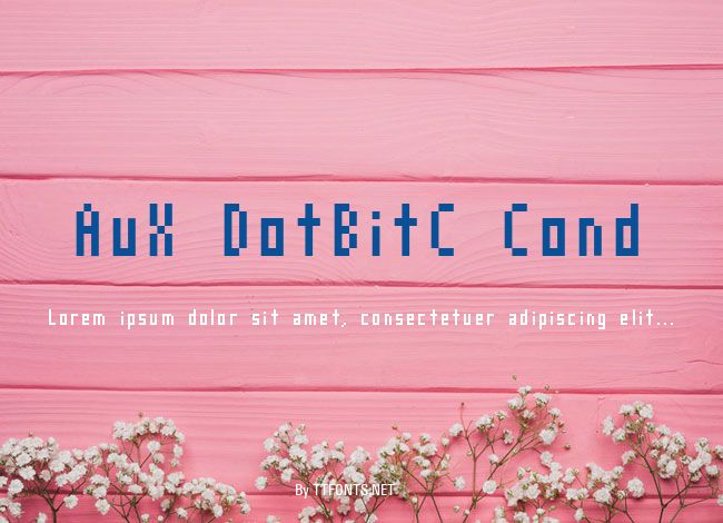 AuX DotBitC Cond example