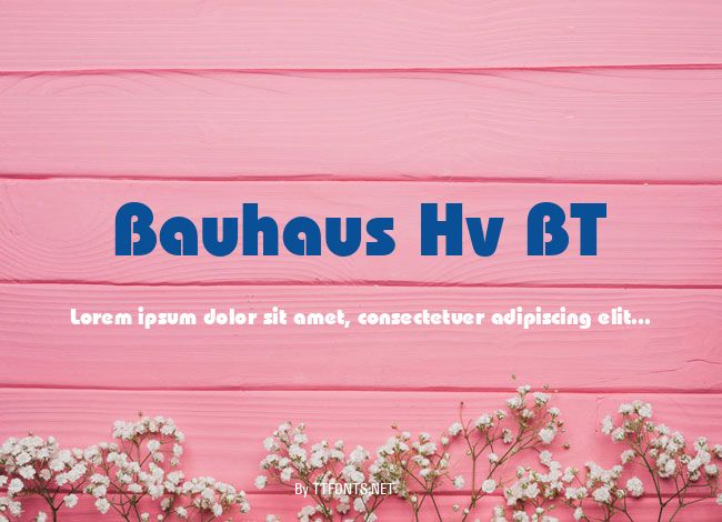 Bauhaus Hv BT example