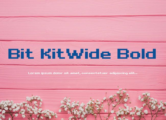 Bit KitWide Bold example