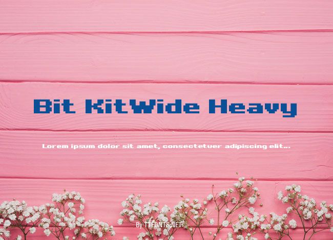 Bit KitWide Heavy example