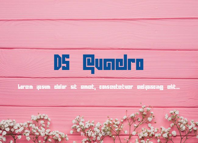 DS Quadro example