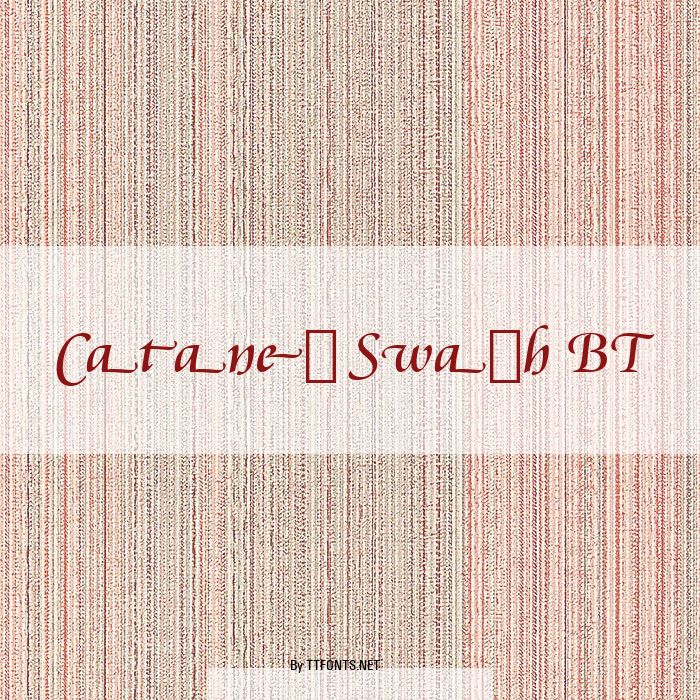 Cataneo Swash BT example