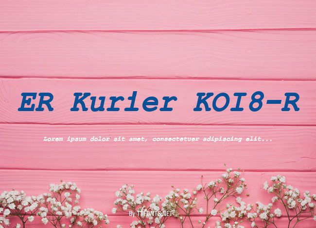 ER Kurier KOI8-R example