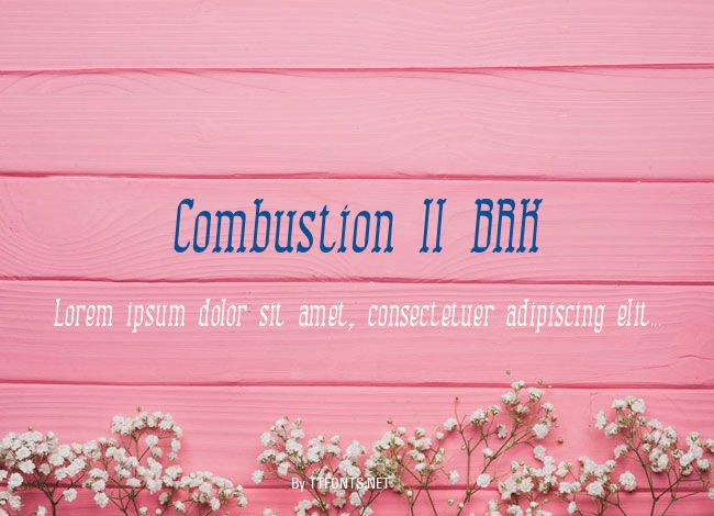 Combustion II BRK example