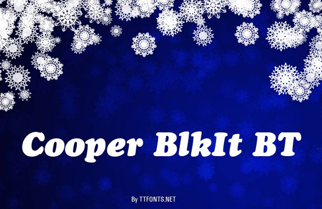 Cooper BlkIt BT example