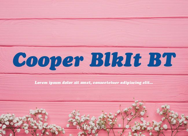 Cooper BlkIt BT example