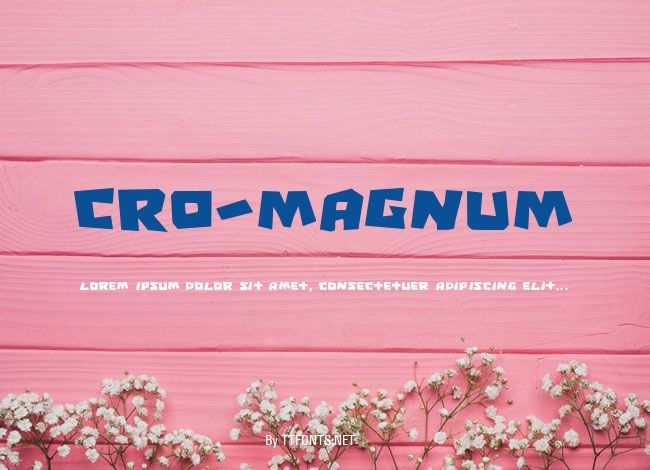 Cro-Magnum example