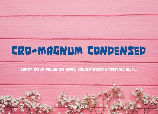 Cro-Magnum Condensed example