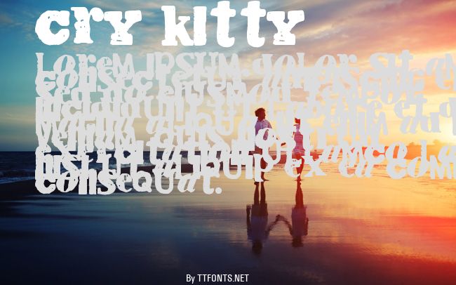 Cry Kitty example